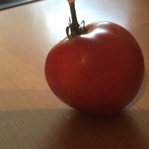 Meet your Posher, Rita